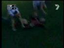 Golden Boy Hird