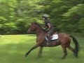 'Ace' First time Cross Country
