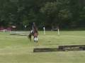 'Ace' First time Cross Country