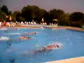 Gara di nuoto Gara di nuoto