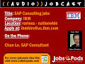 What does an SAP Consultant do?