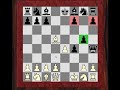 .net : How the Kings Gambit defeated World champion Lasker 1 of 2