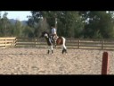Pinto Bean- 13.2 hand Paint Pony Gelding Pinto Bean- 13.2 hand Paint Pony Gelding