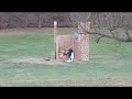 Trebuchet Pumpkin Barely Misses Castle Wall