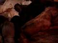 videos de Cuccioli Cane Corso