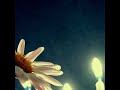 Eros Ramazzotti L\