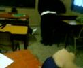 me hago mierda!