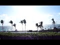 Bermuda anyanak