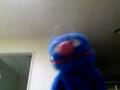Basket Case and Burnout by Green Day (Sung By A BLUE Sock)