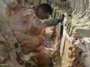 christmas at war