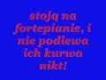 Kury - Chryzantemy z?ociste + tekst