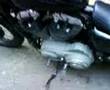 Nightster XL1200N SKULL