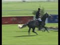 DUKAS CAPRI