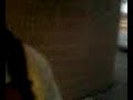Video0025.mpeg