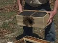 www.nebees.com - How to Install a Package of Honey Bees