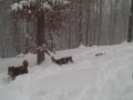 Dec 19 2009 - VID00051.AVI