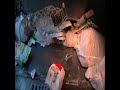 Crushing a Table, Dishwasher, and Assorted Garbage-Truck 734 Crushing a Table, Dishwasher, and Assorted Garbage-Truck 734