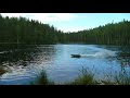 Very fast brushless Cen Racing Grey Thunder rc boat Very fast brushless Cen Racing Grey Thunder rc boat