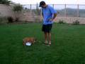 Thor exercising