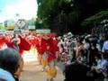 2008YOSAKOI　第55回高知よさこい祭り　  旭食品