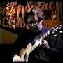 Bill Frisell 'Just Like A Woman'