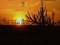 50anos de gabriela.wmv 50anos de gabriela.wmv