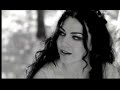 Amy Lynn Lee - Evanescence (Even in death) Amy Lynn Lee - Evanescence (Even in death)