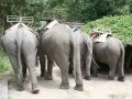 3 days Trekking in Thailand