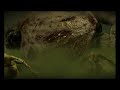 an old e3 clip of warhammer online. this is the old version of the game which was scrapped before mythic made their own verson.

even though it will never be released it's a cool trailer nonetheless.

the voice of father  nurgle in the background is just awsome.


edit: added subtitles and a warning.