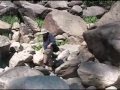 Yosemite Park 1. Tag