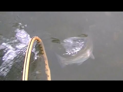 Unterwegs mit der Fliegenrute