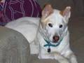 videos de In Memory of Zeus