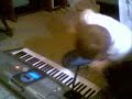 Jayman875- A Troubled Musician Jayman875- A Troubled Musician