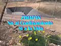 zimapan si a la vida