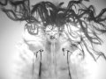 BAF -the rebirth edition-  FR. 18 DECEMBER @ TrouwAmsterdam