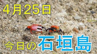 4月25日の石垣島天気