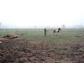 je longe keno je longe keno