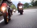 Pettirat 110508