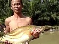 big fish......( patin and tapah )