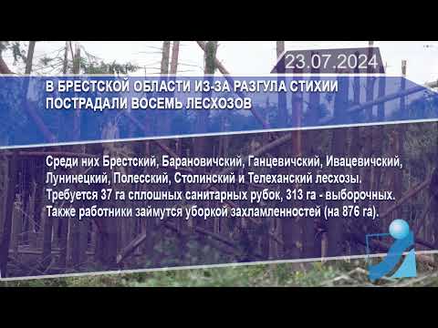 Новостная лента Телеканала Интекс 23.07.24.