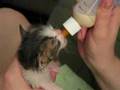 Lil Marvels - Longshot bottle feeding