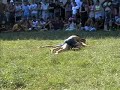 Outdoors wrestling - Bulgaria (Strandja)