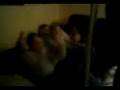 videos de Sam, Florian & Gaetan qui danse