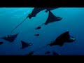 Salt Tank - Eugina (Christian Rusch Remix)