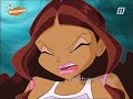 winx club 326 : de winx ontdekken de specialisten dutch