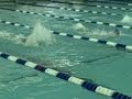 100 butterfly in Huntersville, NC
