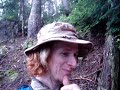 Rooster Comb 2008