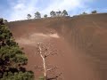trx450 vs yfz450 trx450 vs yfz450