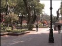 Lejana, la solución en el centro de Coyoacán Lejana, la solución en el centro de Coyoacán