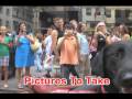 Bobaji Sidecar Dog Shelter Tour (Trailer) Bobaji Sidecar Dog Shelter Tour (Trailer)